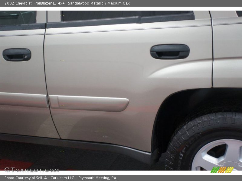 Sandalwood Metallic / Medium Oak 2002 Chevrolet TrailBlazer LS 4x4