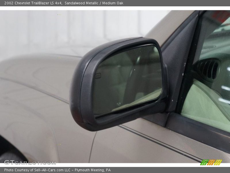 Sandalwood Metallic / Medium Oak 2002 Chevrolet TrailBlazer LS 4x4