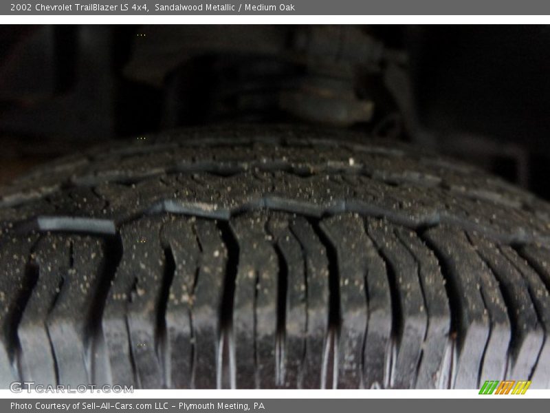 Sandalwood Metallic / Medium Oak 2002 Chevrolet TrailBlazer LS 4x4