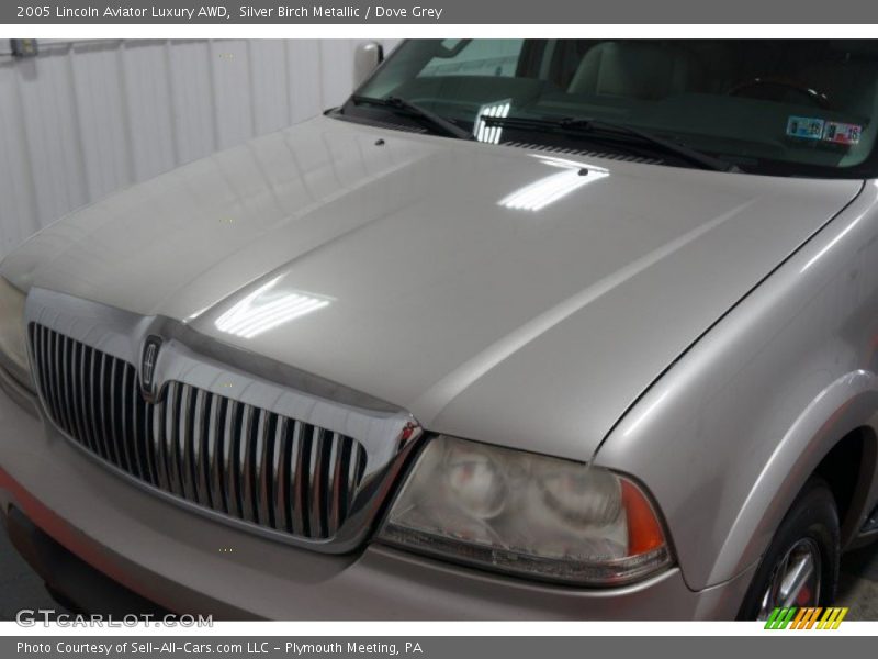 Silver Birch Metallic / Dove Grey 2005 Lincoln Aviator Luxury AWD