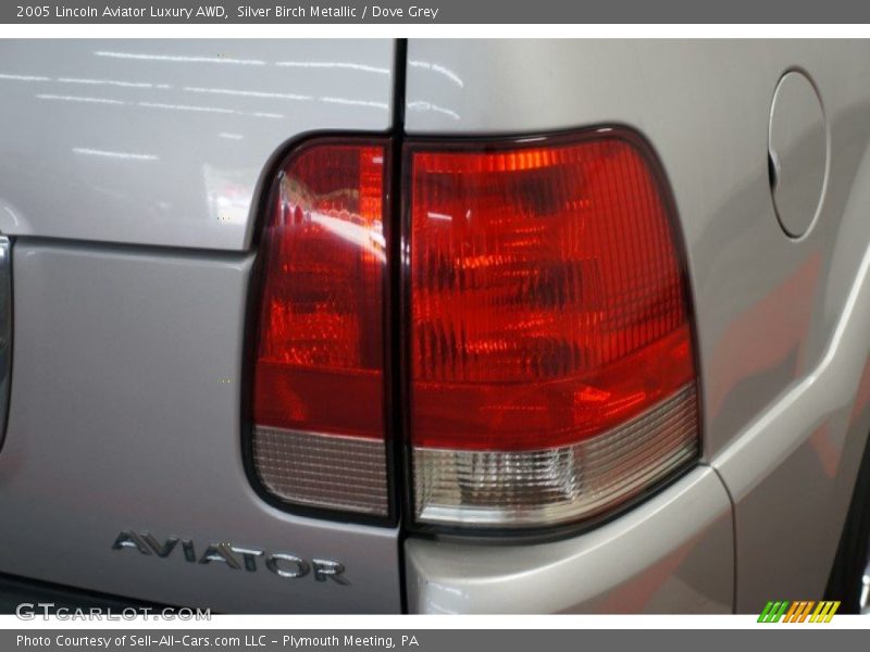 Silver Birch Metallic / Dove Grey 2005 Lincoln Aviator Luxury AWD