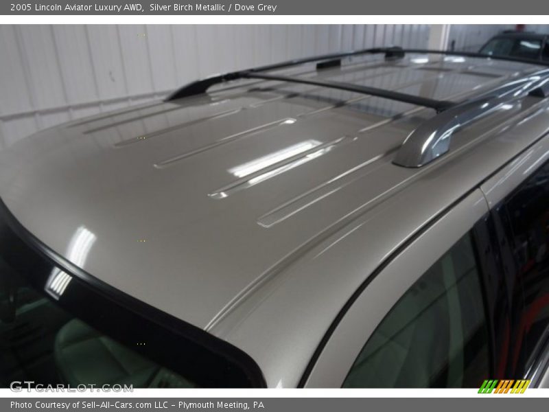 Silver Birch Metallic / Dove Grey 2005 Lincoln Aviator Luxury AWD