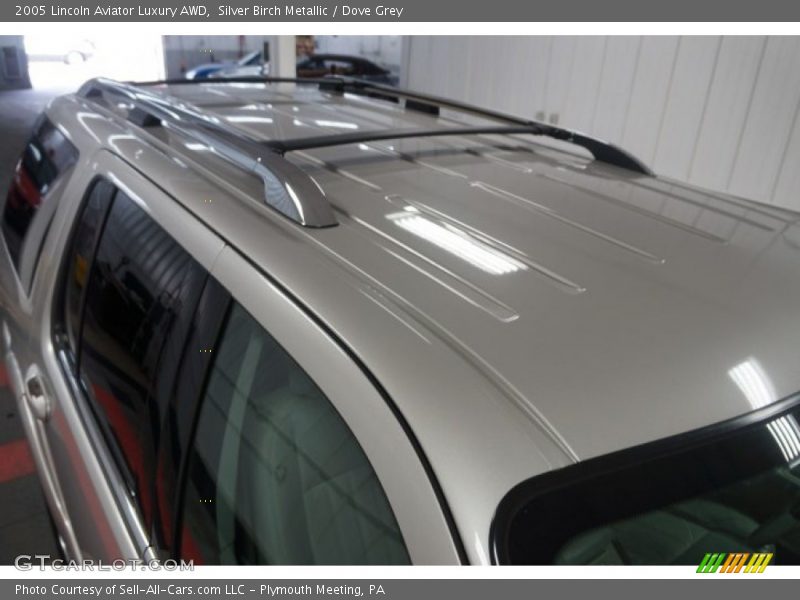 Silver Birch Metallic / Dove Grey 2005 Lincoln Aviator Luxury AWD