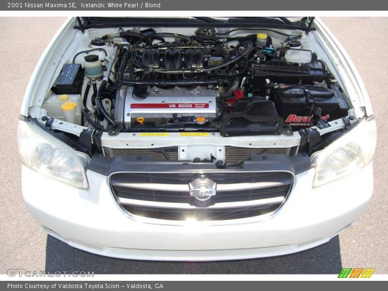 Icelandic White Pearl / Blond 2001 Nissan Maxima SE