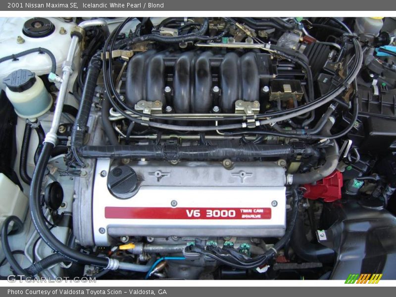 Icelandic White Pearl / Blond 2001 Nissan Maxima SE