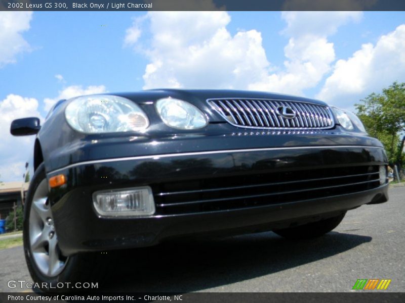 Black Onyx / Light Charcoal 2002 Lexus GS 300