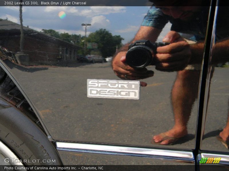 Black Onyx / Light Charcoal 2002 Lexus GS 300