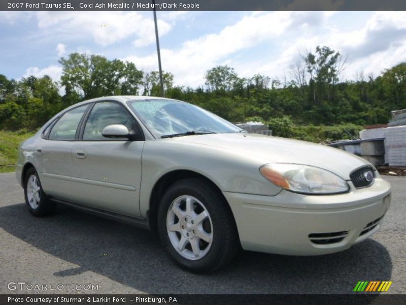 Gold Ash Metallic / Medium/Dark Pebble 2007 Ford Taurus SEL