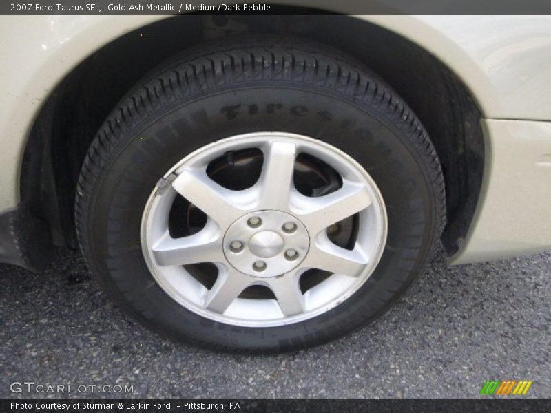 Gold Ash Metallic / Medium/Dark Pebble 2007 Ford Taurus SEL