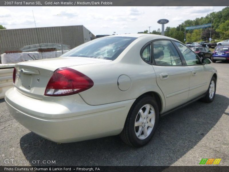 Gold Ash Metallic / Medium/Dark Pebble 2007 Ford Taurus SEL