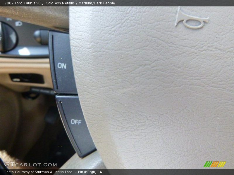 Gold Ash Metallic / Medium/Dark Pebble 2007 Ford Taurus SEL