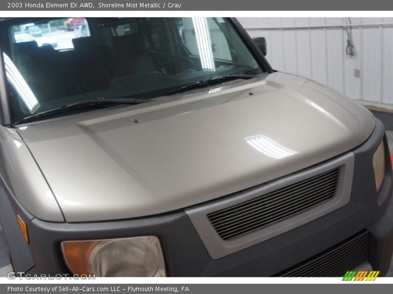 Shoreline Mist Metallic / Gray 2003 Honda Element EX AWD