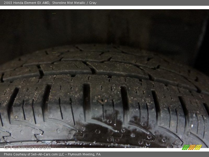 Shoreline Mist Metallic / Gray 2003 Honda Element EX AWD