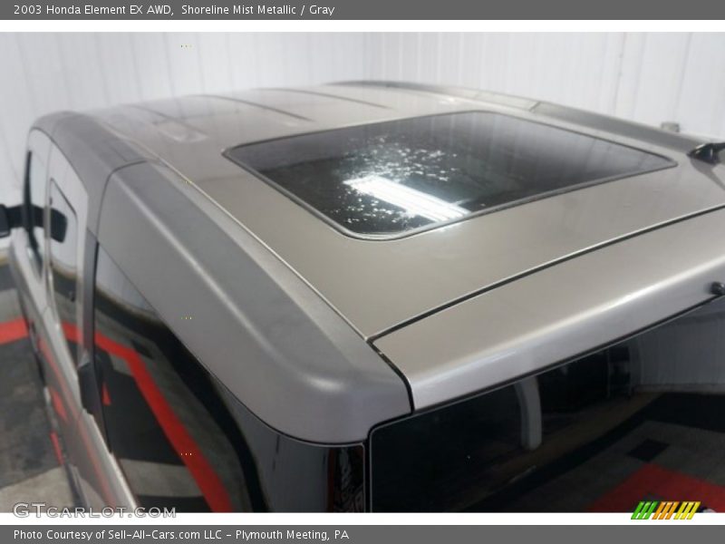 Shoreline Mist Metallic / Gray 2003 Honda Element EX AWD