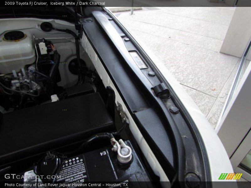 Iceberg White / Dark Charcoal 2009 Toyota FJ Cruiser