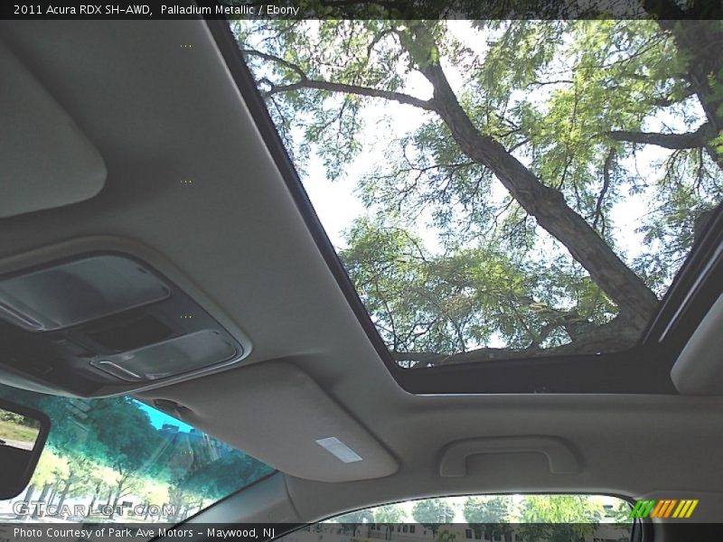 Palladium Metallic / Ebony 2011 Acura RDX SH-AWD