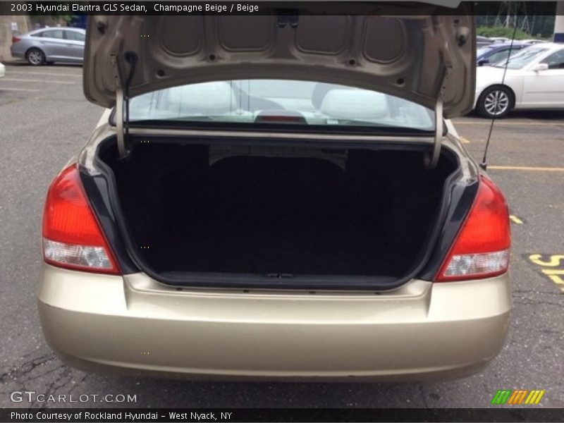 Champagne Beige / Beige 2003 Hyundai Elantra GLS Sedan