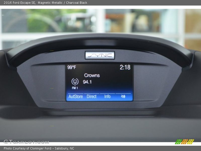 Magnetic Metallic / Charcoal Black 2016 Ford Escape SE
