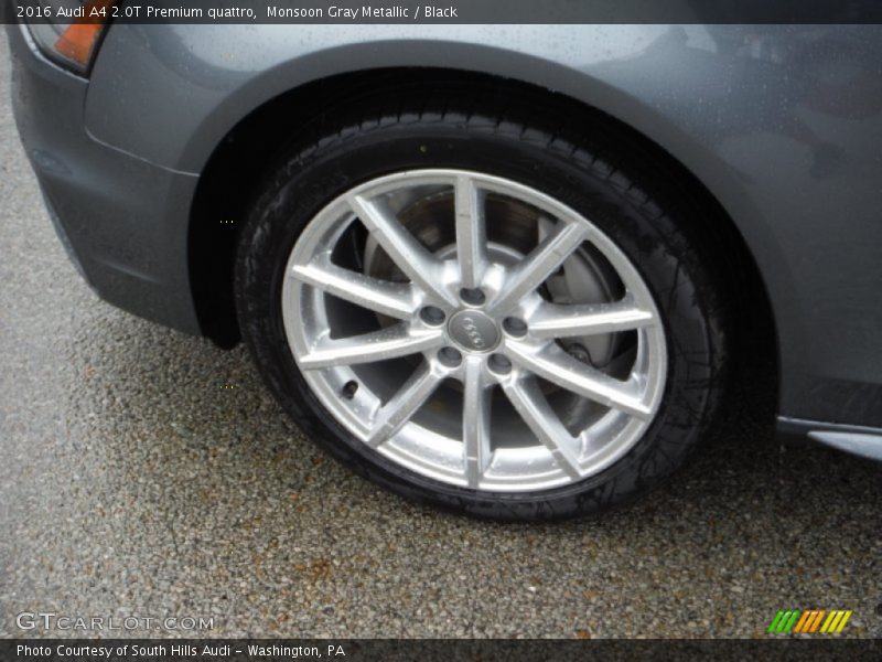 Monsoon Gray Metallic / Black 2016 Audi A4 2.0T Premium quattro