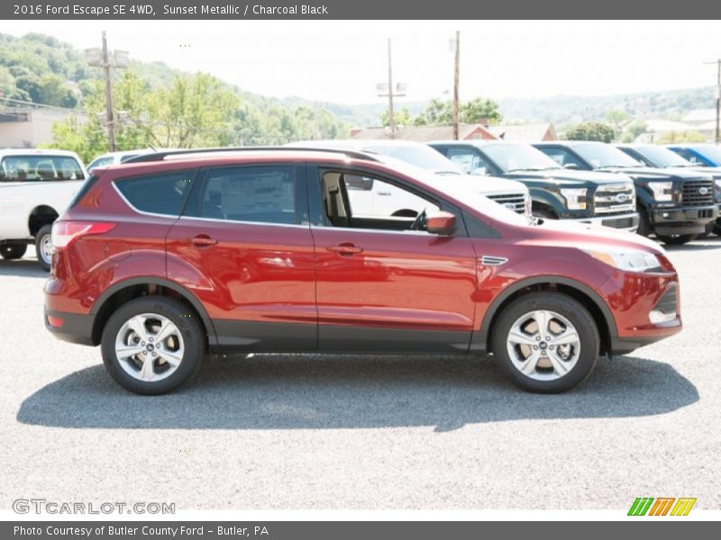 Sunset Metallic / Charcoal Black 2016 Ford Escape SE 4WD