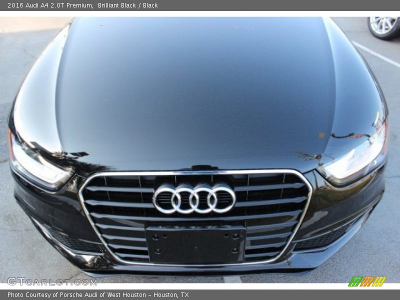 Brilliant Black / Black 2016 Audi A4 2.0T Premium