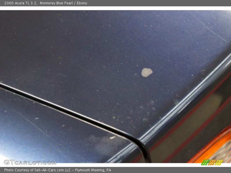 Monterey Blue Pearl / Ebony 2000 Acura TL 3.2