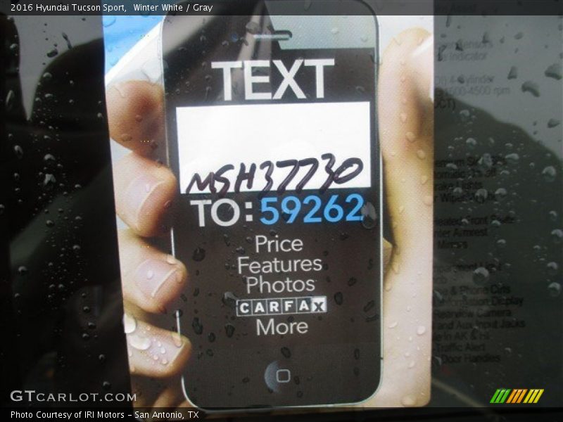 Winter White / Gray 2016 Hyundai Tucson Sport