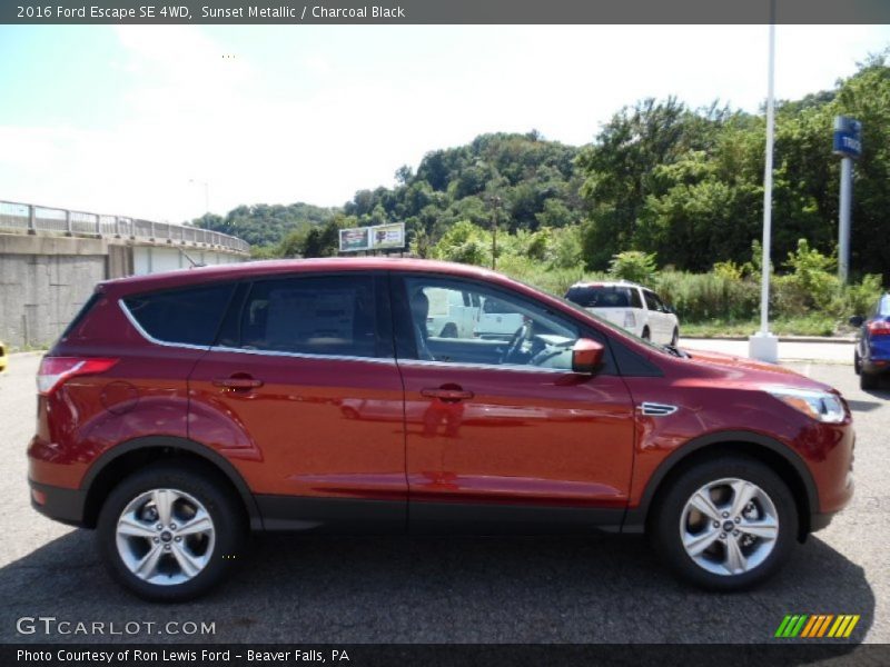 Sunset Metallic / Charcoal Black 2016 Ford Escape SE 4WD