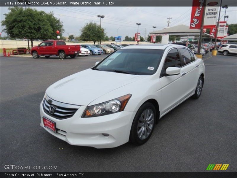 White Orchid Pearl / Black 2012 Honda Accord EX-L V6 Sedan