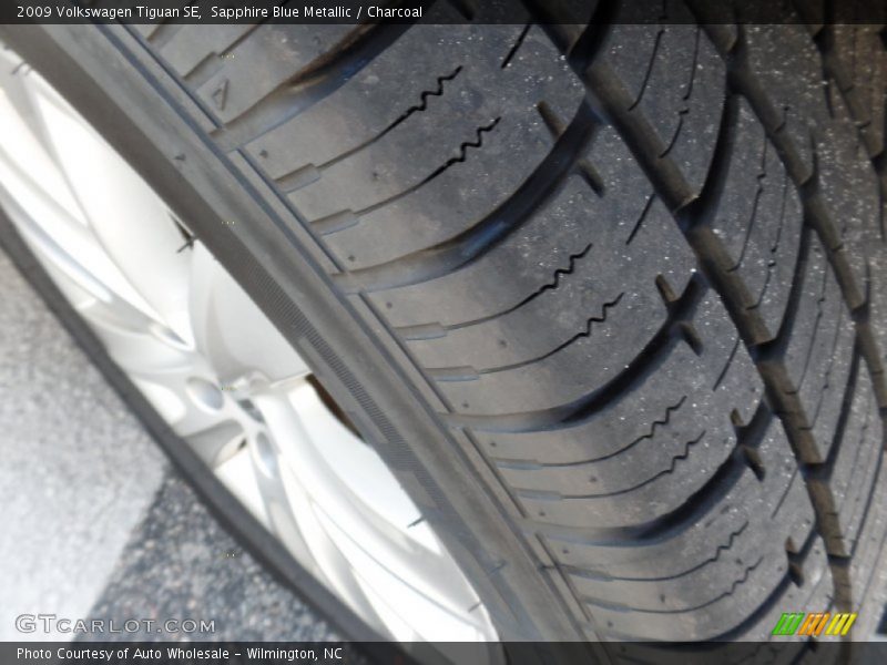 Sapphire Blue Metallic / Charcoal 2009 Volkswagen Tiguan SE