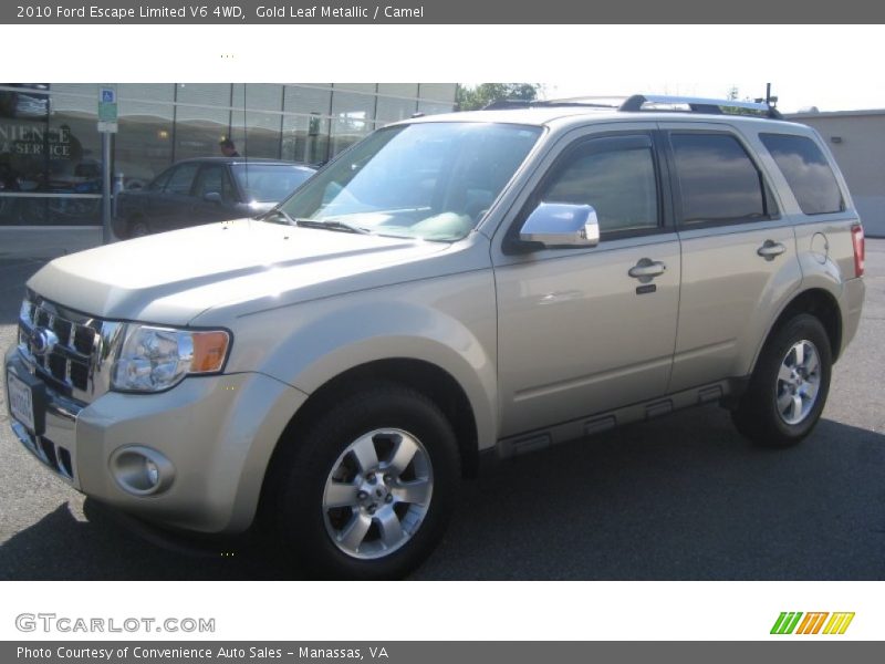 Gold Leaf Metallic / Camel 2010 Ford Escape Limited V6 4WD