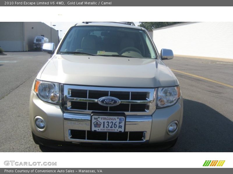 Gold Leaf Metallic / Camel 2010 Ford Escape Limited V6 4WD