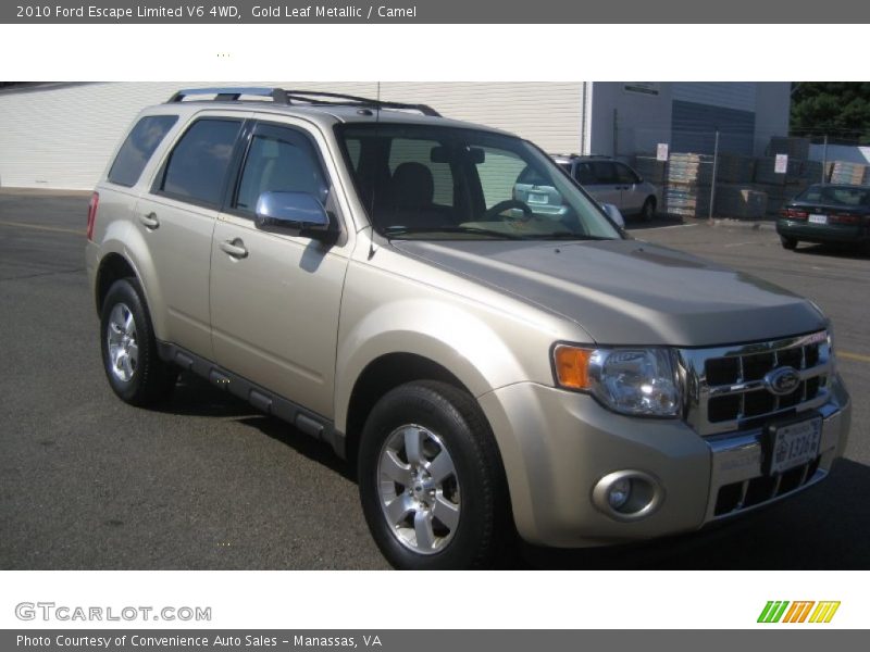 Gold Leaf Metallic / Camel 2010 Ford Escape Limited V6 4WD