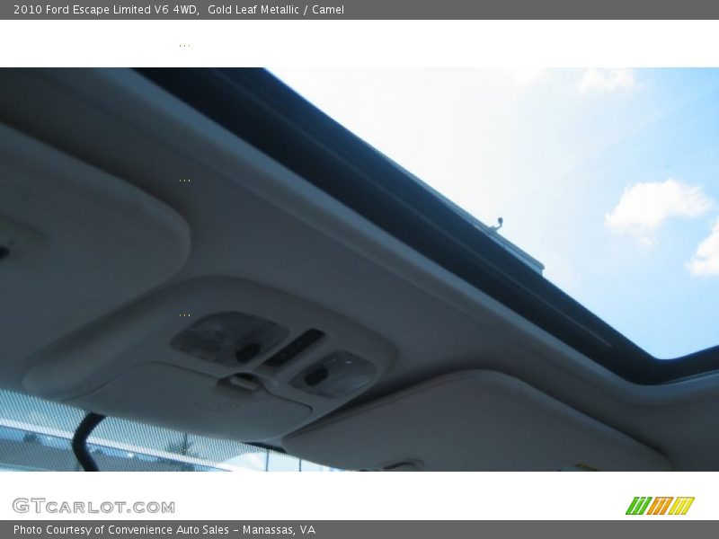 Gold Leaf Metallic / Camel 2010 Ford Escape Limited V6 4WD