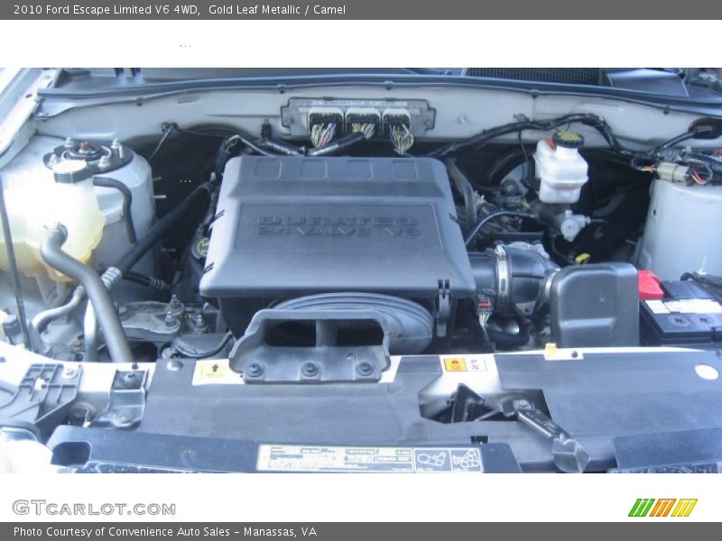 Gold Leaf Metallic / Camel 2010 Ford Escape Limited V6 4WD