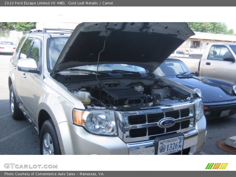 Gold Leaf Metallic / Camel 2010 Ford Escape Limited V6 4WD
