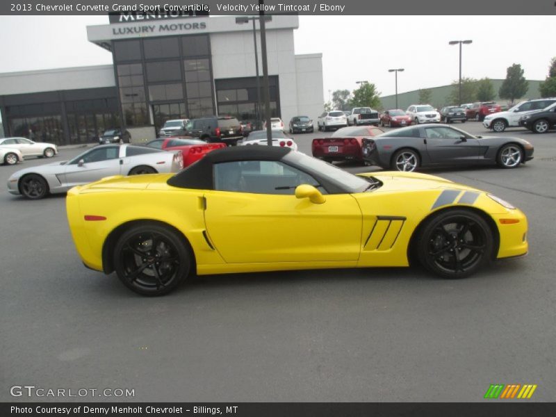 Velocity Yellow Tintcoat / Ebony 2013 Chevrolet Corvette Grand Sport Convertible