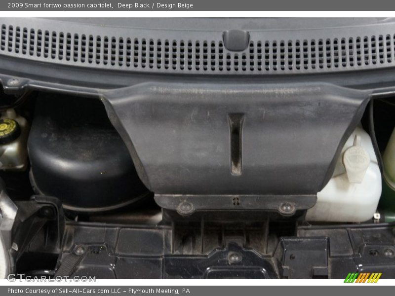Deep Black / Design Beige 2009 Smart fortwo passion cabriolet