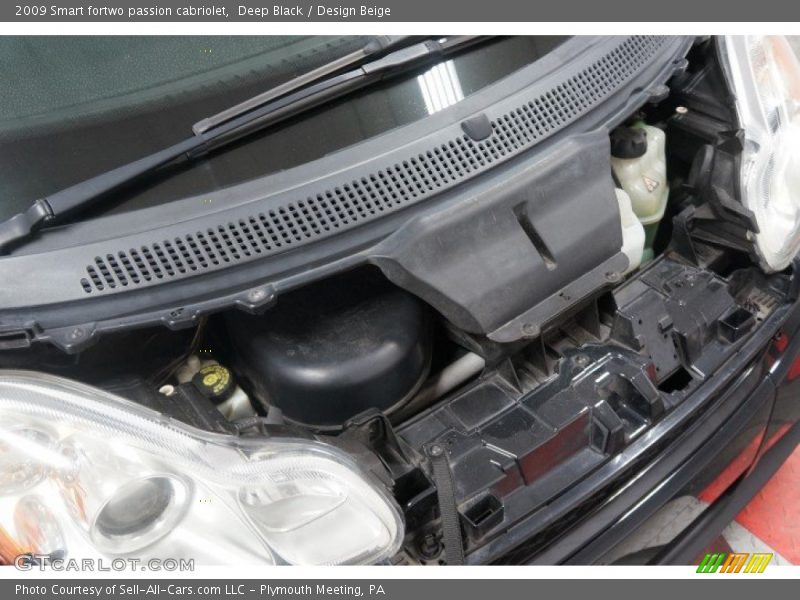 Deep Black / Design Beige 2009 Smart fortwo passion cabriolet