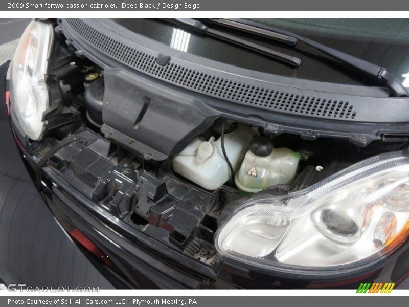 Deep Black / Design Beige 2009 Smart fortwo passion cabriolet