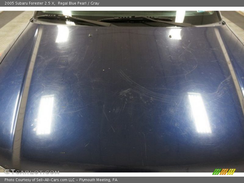 Regal Blue Pearl / Gray 2005 Subaru Forester 2.5 X