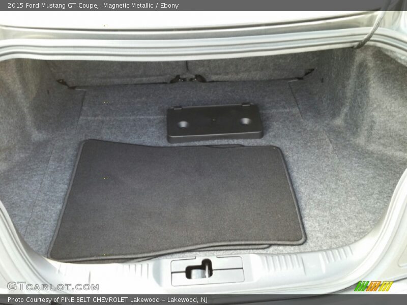 Magnetic Metallic / Ebony 2015 Ford Mustang GT Coupe
