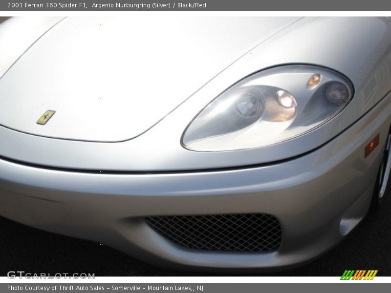 Argento Nurburgring (Silver) / Black/Red 2001 Ferrari 360 Spider F1