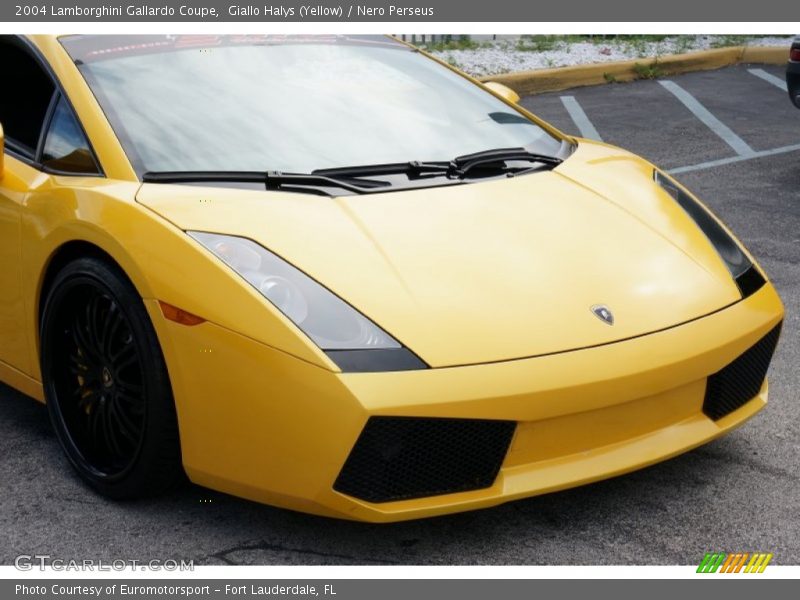 Giallo Halys (Yellow) / Nero Perseus 2004 Lamborghini Gallardo Coupe