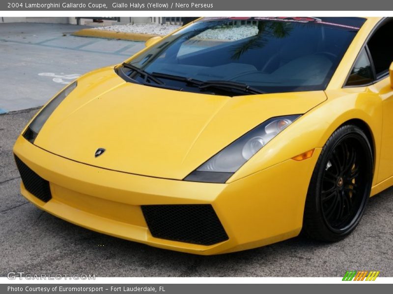 Giallo Halys (Yellow) / Nero Perseus 2004 Lamborghini Gallardo Coupe