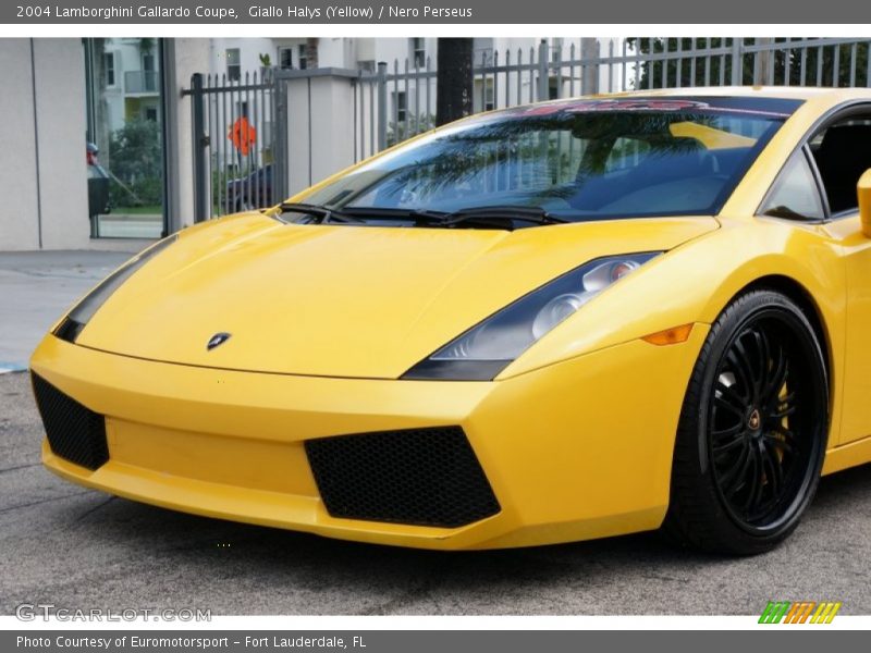 Giallo Halys (Yellow) / Nero Perseus 2004 Lamborghini Gallardo Coupe