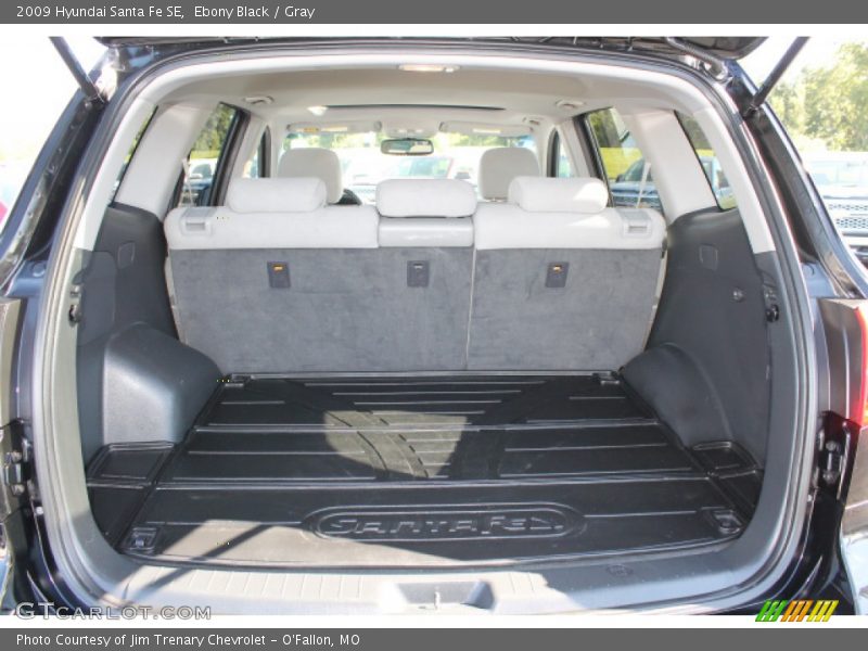 Ebony Black / Gray 2009 Hyundai Santa Fe SE