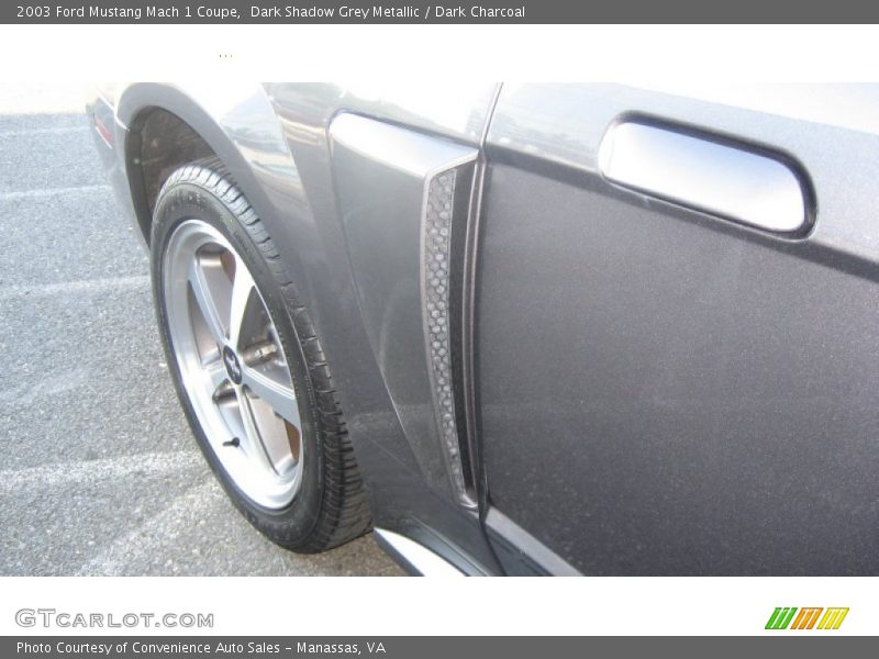 Dark Shadow Grey Metallic / Dark Charcoal 2003 Ford Mustang Mach 1 Coupe