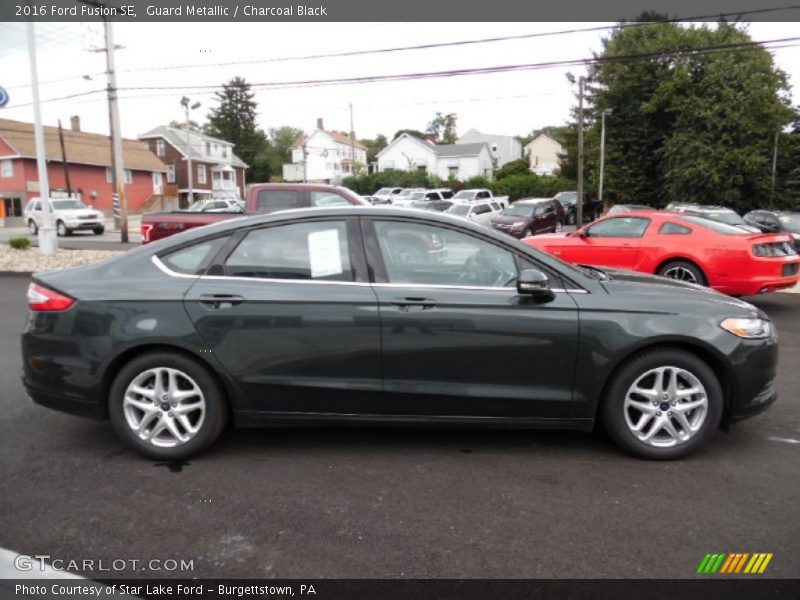  2016 Fusion SE Guard Metallic