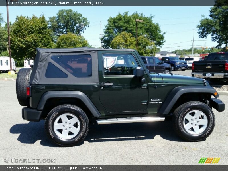 Natural Green Pearl / Black 2011 Jeep Wrangler Sport 4x4